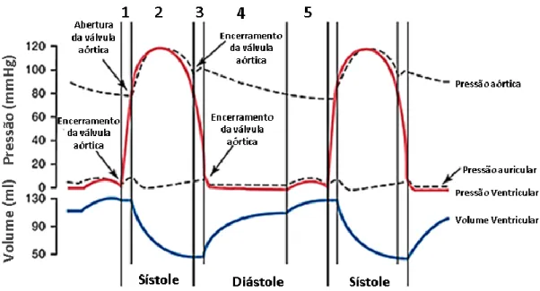 Figura 10 – Eventos do ciclo cardíaco durante a função ventricular esquerda. Curvas de pressão aórtica,  auricular e ventricular esquerda