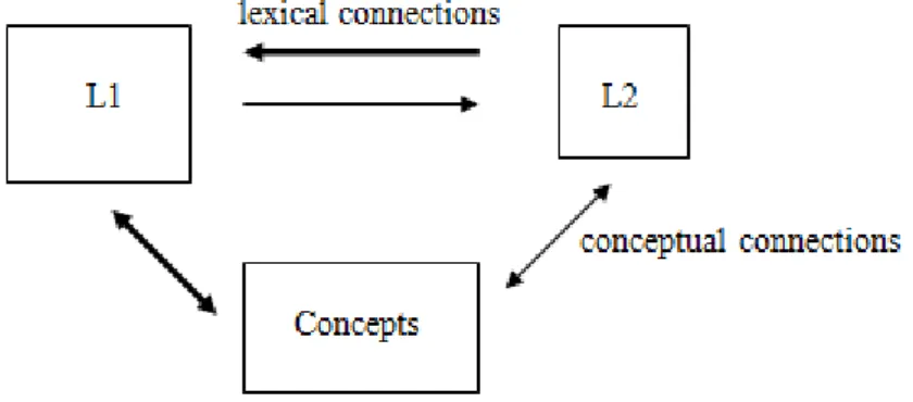 Figure 1. The Revised Hierarchical Model (adapted from Talamas, Kroll, &amp; Dufour, 1999),  with L1 corresponding to first language and L2 referring to second language