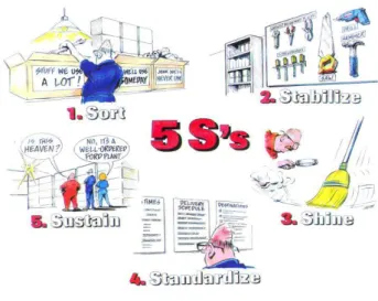 Figura 6 – Etapas do 5S  