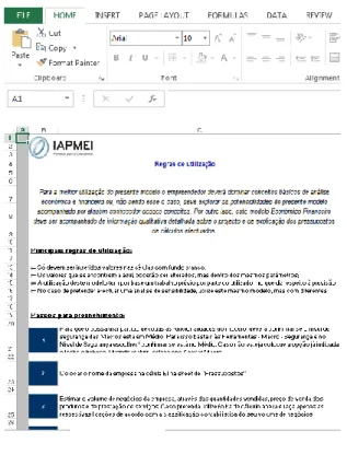 Figura 4-Software IAPMEI 