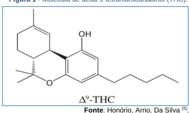 Figura 1 - Molécula de delta-9-tetrahidrocanabinol (THC). 
