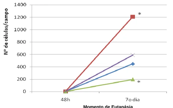Gráfico  5  -  Número  de  células/campo  de  células  com  núcleos  centralizados  nos  diferentes  momentos  de  eutanásia (48h e 7º dia)