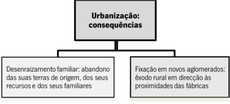 Figura 6 - Urbanização: consequências 