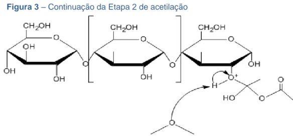 Figura 2 - Etapa 2 do mecanismo de acetilação. 