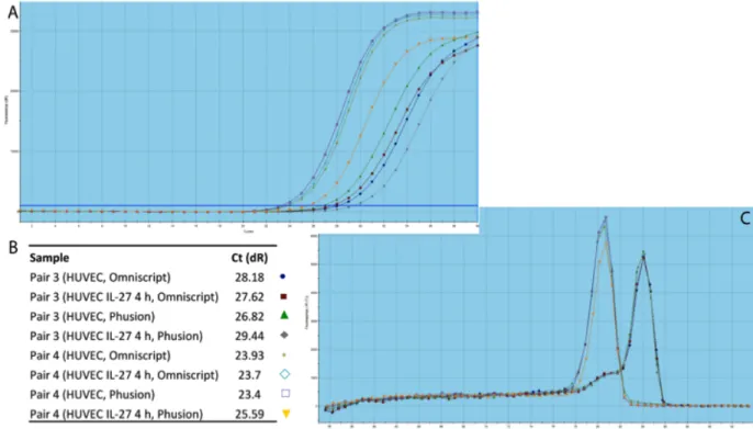 Figure    10:    Test    of    Primers    pairs    3    and    4,    at    150mM    and    annealing    temperature    of    60°C