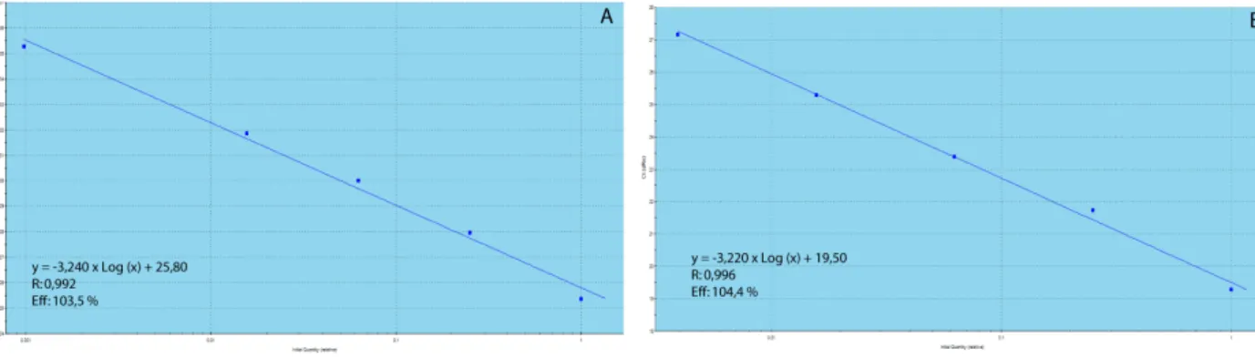 Figure   12:   Standard   Curves   for   p38α   primer   pair   4   (A)   and   GAPDH   (B)