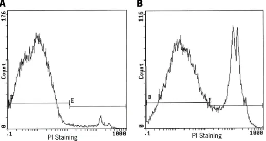Figure 11 – Representative images of flow cytometry for analysing cell death by PI staining, of  a control sample (A) and a treatment condition with induction of cell death (B)