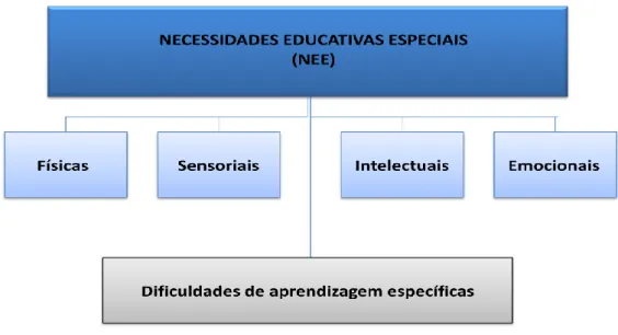 Figura 2 - Problemáticas associadas às NEE (adaptado de Correia, 2008). 