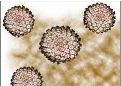Figura 1 – Micrografia eletrônica mostrando partículas de HPV 