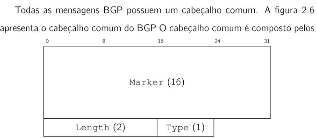 Figura 2.6: Cabeçalho comum das mensagens BGP