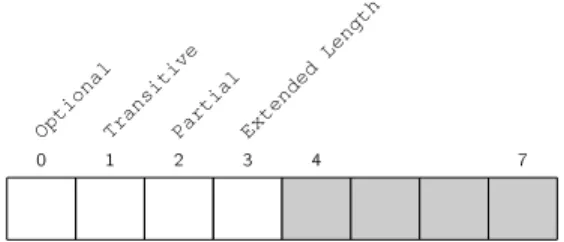 Figura 2.13: Codicação do campo Attribute Flags na mensagem UPDATE