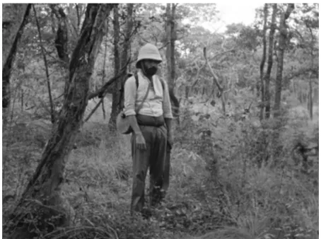 Figura 1: O Intrépido Explorador deambulando na selva indomada 