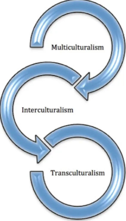 Figure 6: The dialectics of culturalisms