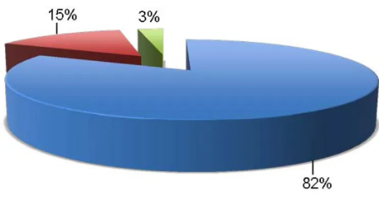 Figure 6. Typology of pieces published in the press.