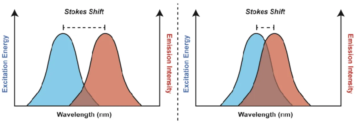 Figure  9. Representation  of  the  Stokes  shift  exhibiting  the  energy  difference  between  the  absorption  maximum and the emission maximum