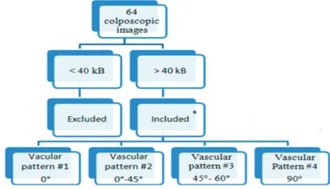 Figure 1. Diagram of the inclusion and exclusion criteria.