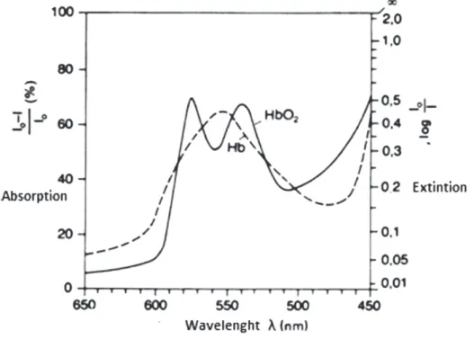 Figure 3. Light absorption spectrum of oxyhemoglobin (HbO2) and deoxyhemoglobin (Hb).