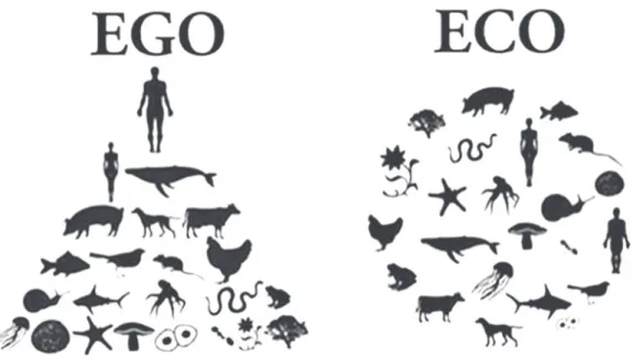 Figura 2. Perspectivas EGO y Eco, que caracterizan, respectivamente, el pensamiento occidental y el pensa- pensa-miento ecológico amerindio.