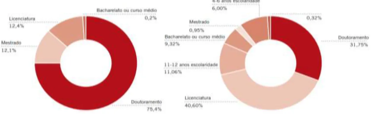 Figura 4. Distribuição dos recursos humanos por nível de escolaridade 2010 (%) 