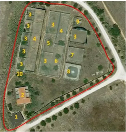 Figura  11:  Mapeamento  das  áreas  de  trabalho  do  RIAS.  1  -  Casa  pré-fabricada  (Centro  de  Interpretação  Ambiental,  Escritório,  Instalações  Sanitárias,  Sala  de  Preparação  de  Alimento,  Despensa)