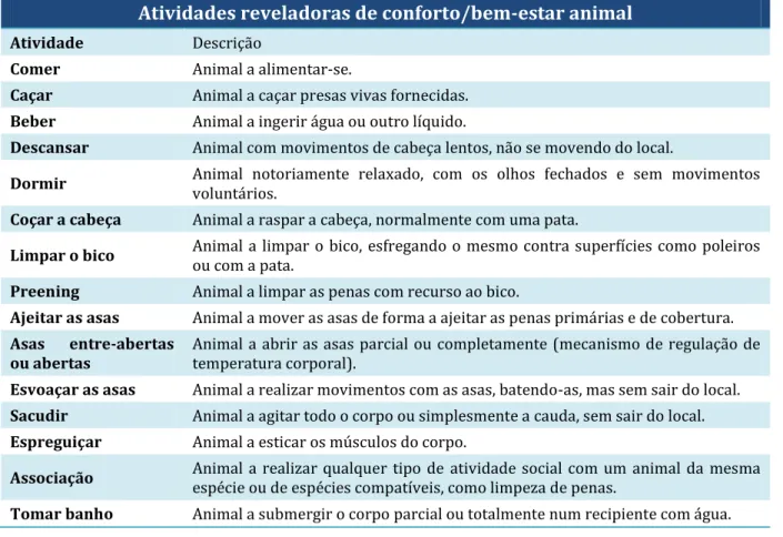 Tabela 1 - Lista de atividades típicas de conforto  dos animais  estudados registadas  ao longo do estudo de  Enriquecimento Ambiental