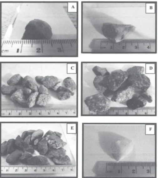 Figura 5. Fotografías de fragmentos de roca que conforman la grava Cantol. 