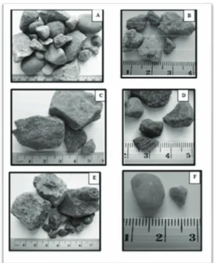 Figura 3 . Fotografías de fragmentos de roca que  conforman la grava Cancun. 