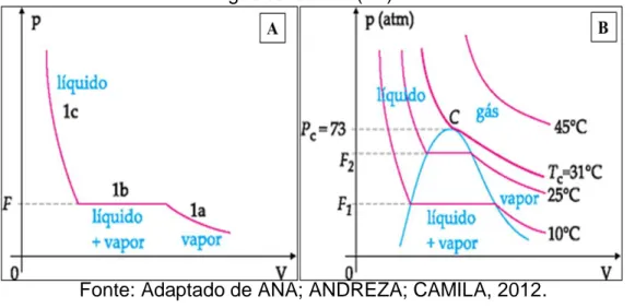 Figura 1- Representação da curva pressão-volume (1A) e Isotermas de Andrews para o  gás carbônico (1B)