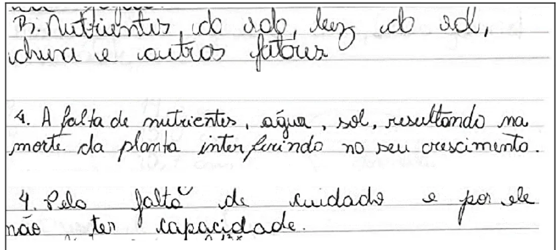 Figura 7 – Respostas referente as causas que impedem o crescimento constante de uma planta  Fonte: Acervo do pesquisador