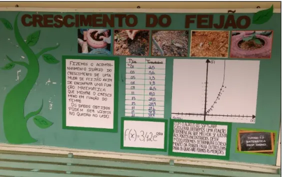 Figura 10 – Mural desenvolvido pelos estudantes para divulgação da atividade do crescimento do  feijão 