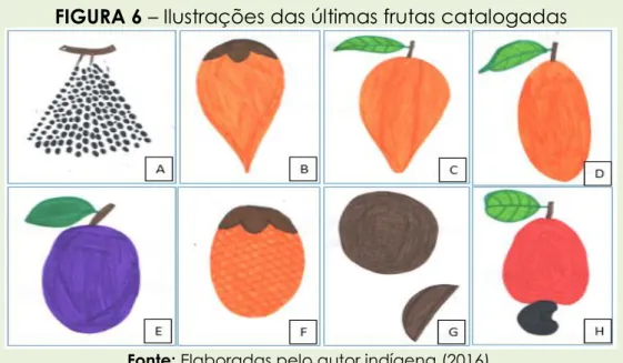 FIGURA 6 – Ilustrações das últimas frutas catalogadas 
