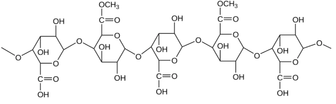 Figura 5 – Estruturas do ácido galacturônico (5a) e ácido galacturônico esterificado (5b)  Fonte: Autores