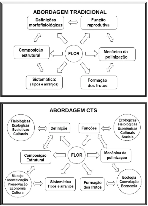 Figura 1 -  Esquemas elaborados para análise comparativa entre uma abordagem  considerada tradicional e a uma possível abordagem CTS no estudo de flor