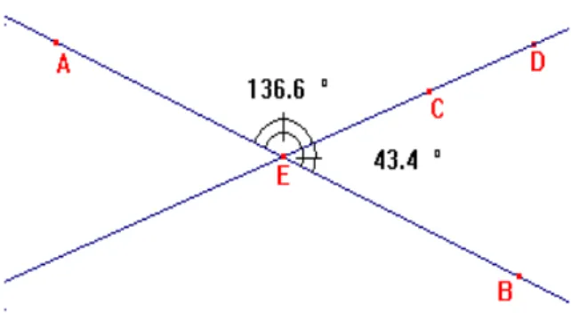 Figura 14 – Atividade de ângulos opostos construída no Cabri 