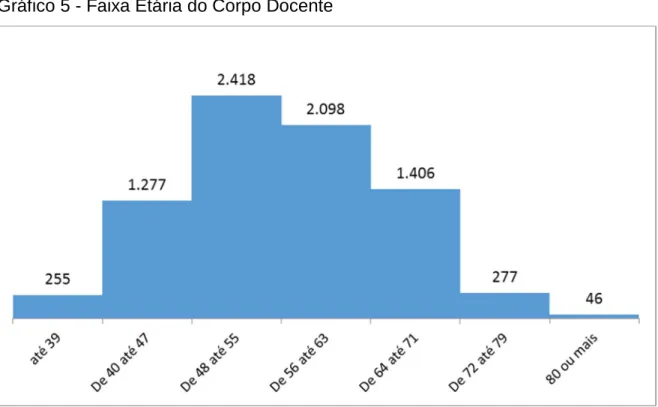 Gráfico 5 - Faixa Etária do Corpo Docente 