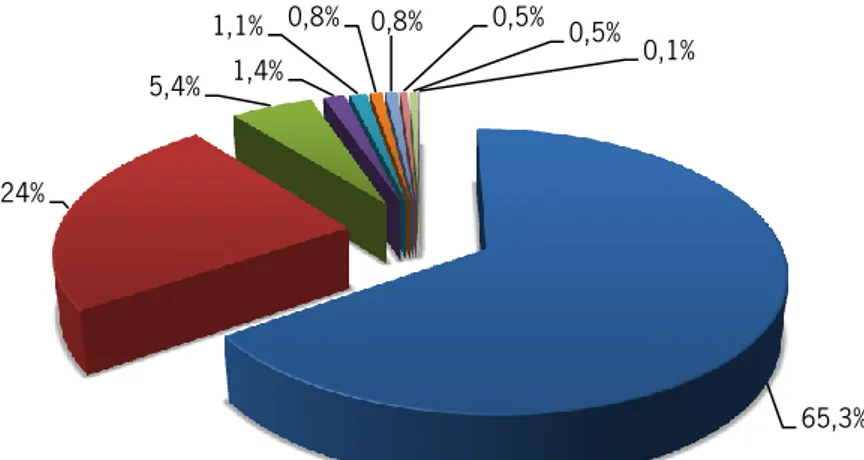 Gráfico 2 – Percentagem de crianças/jovens em acolhimento,   por local de acolhimento