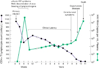 Figure 4. Typical course of HIV disease progression in an untreated HIV infected individual