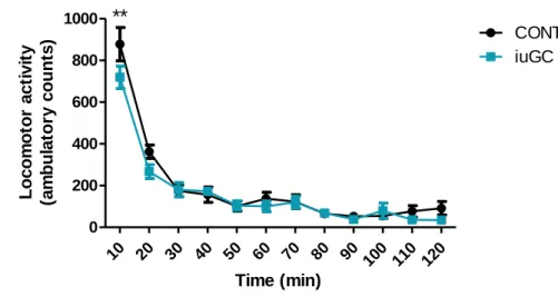 Figure 4. Novelty-induced locomotor reactivity in animals prenatally exposed to GCs. CONT and iuGC subjects did not present  major differences in their locomotor response to a novel inescapable environment, with the exception of the first 10min in which  i