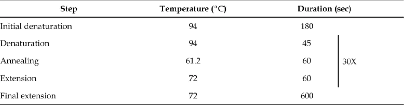 Table 3.1. PCR conditions used for the amplification of tTA and  tet.O  sequences.