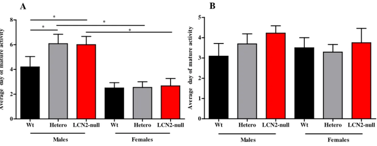 Figure 6: Impact of LCN2 deletion in brain development and maturity. Using a set of established tests  sed to evaluate neurologic parameters acquisition, from   day 0 until PND21, LCN2-null mice were found  o have a delay in the acquisition of a mature res