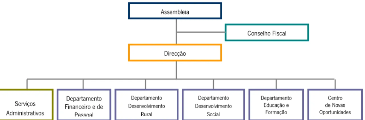 Figura 2 - Organigrama da instituição. 
