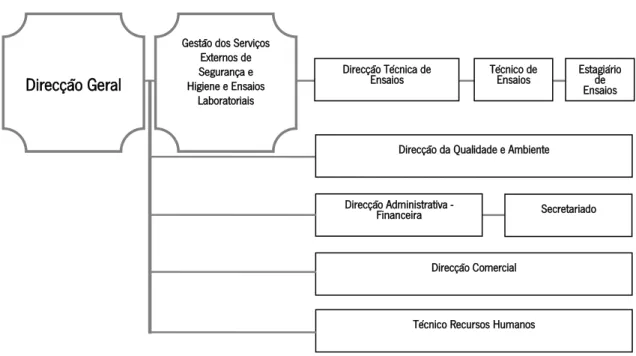 Figura 2: Organigrama pormenorizado do XZ Lab  