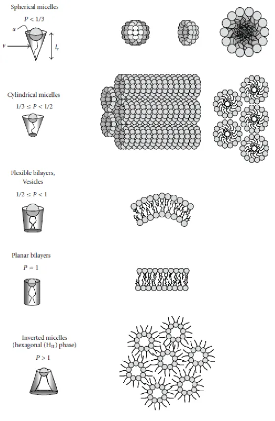 Figure 5. Impact of packing parameter p on lipid assemblies formed in aqueous solutions  (Balazs and Godbey, 2011)