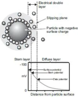 Figure 10. Schematic representation of the double layer surrounding a particle in suspension  (Malvern, 2005)