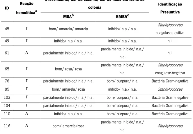 Tabela  9  –  Resultados  da  identificação  presuntiva  dos  microrganismos  recuperados  a  partir  dos  extensores de DP e não identificados por MALDI- TOF MS 