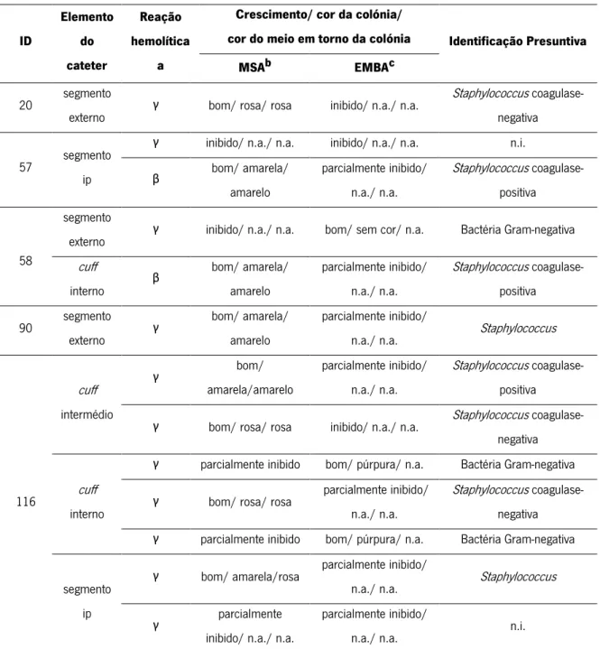Tabela  11  -  Resultados  da  identificação  presuntiva  dos  microrganismos  recuperados  a  partir  dos  cateteres permanentes e não identificados por MALDI- TOF MS 