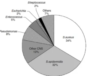 Figure 1.15: The main pathogenic species among  orthopedic implant associated infections