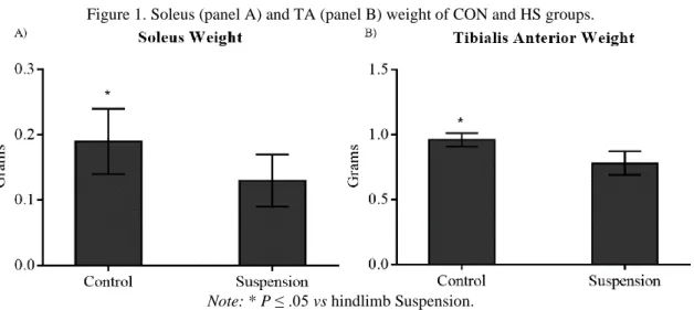 Figure 1. Soleus (panel A) and TA (panel B) weight of CON and HS groups. 