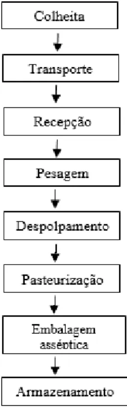 Figura 1. Fluxograma de processamento das diferentes cultivares de polpas de mangas 