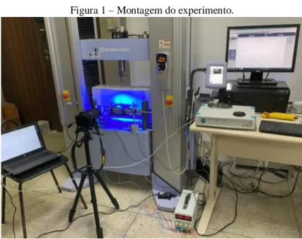 Figura 1 – Montagem do experimento. 